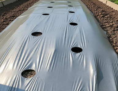 Mulching Film Perforated (With Hole)